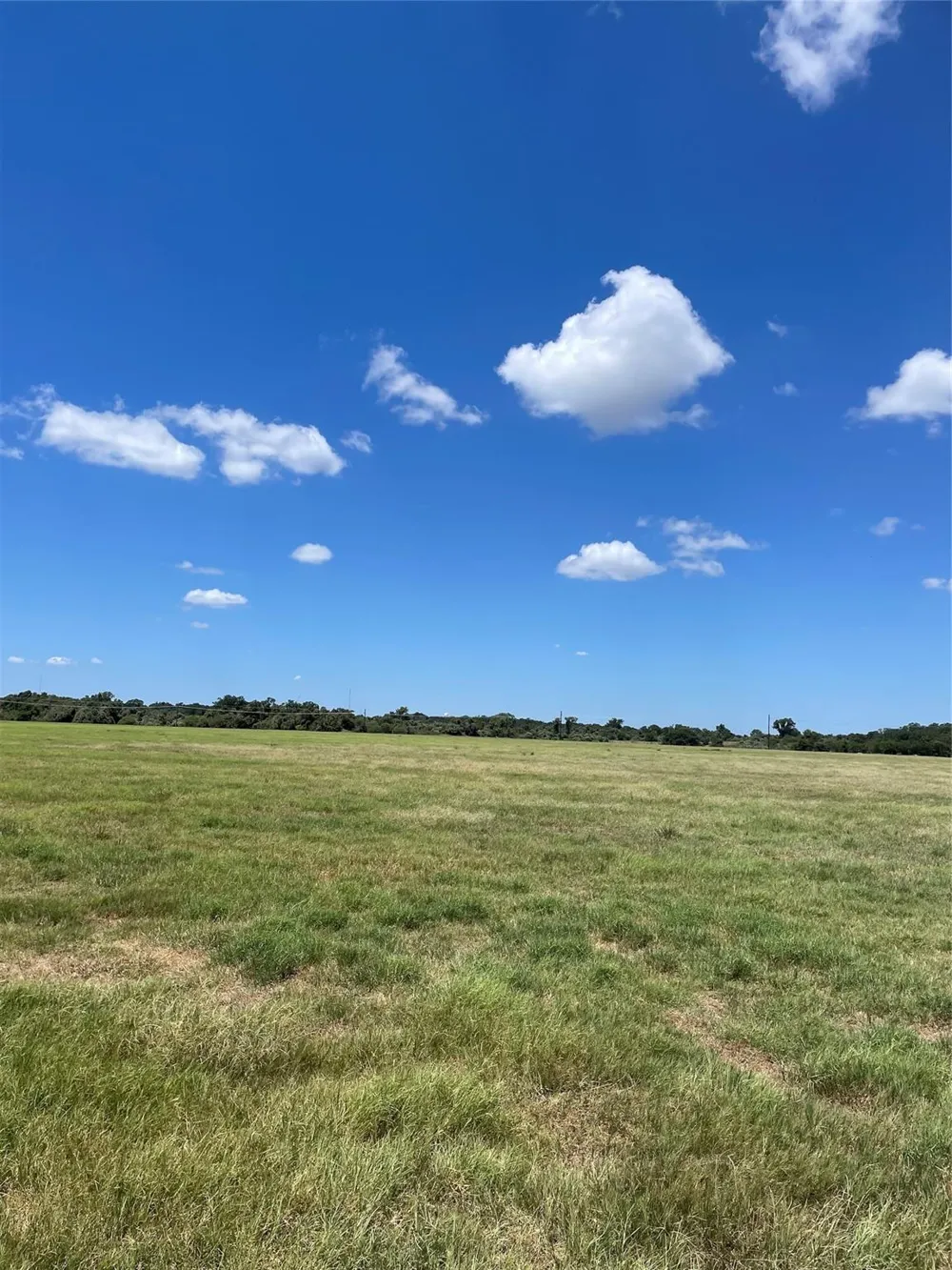 Preston/Robson Columbus, TX 78934