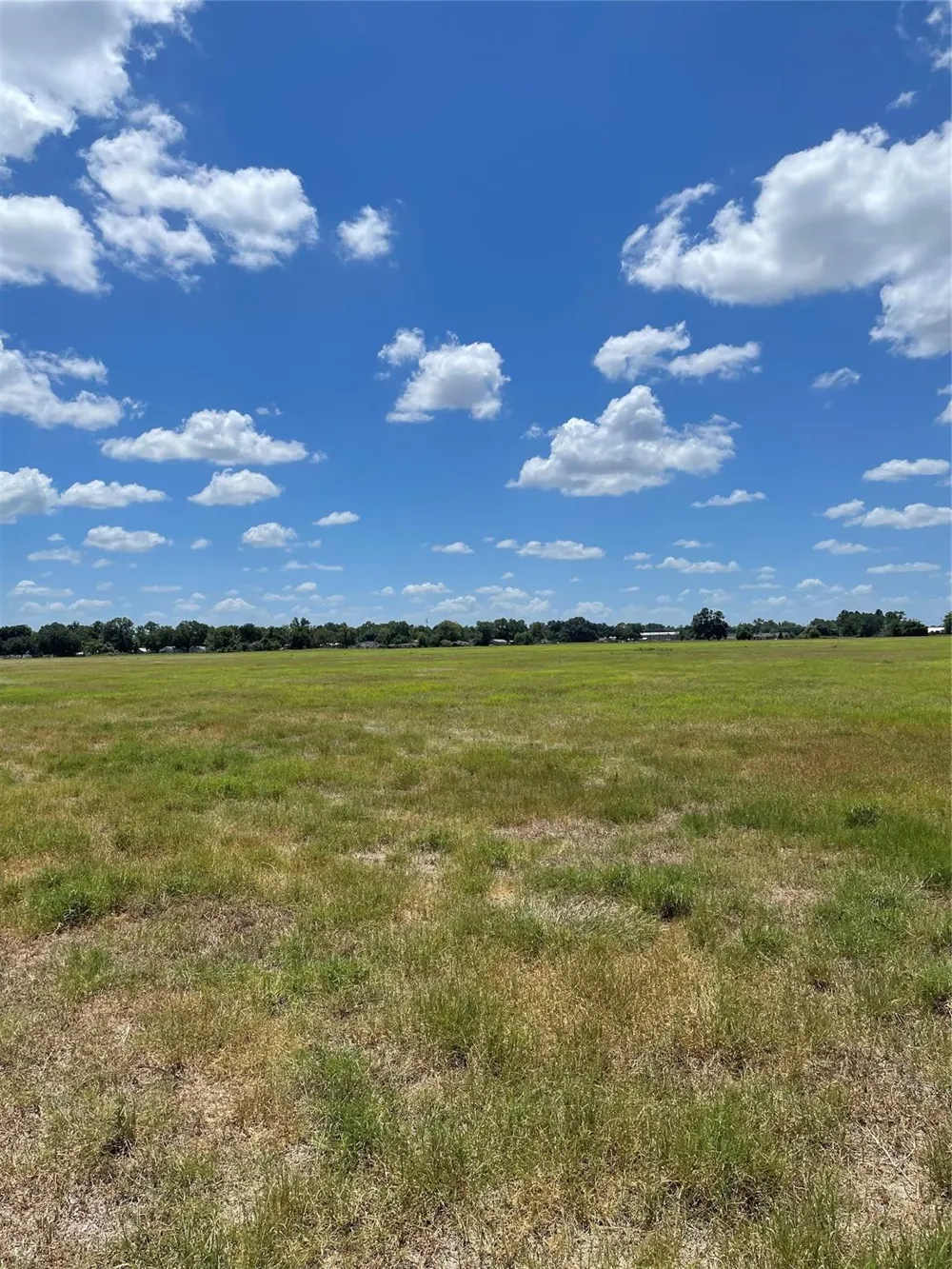 Preston/Robson Columbus, TX 78934