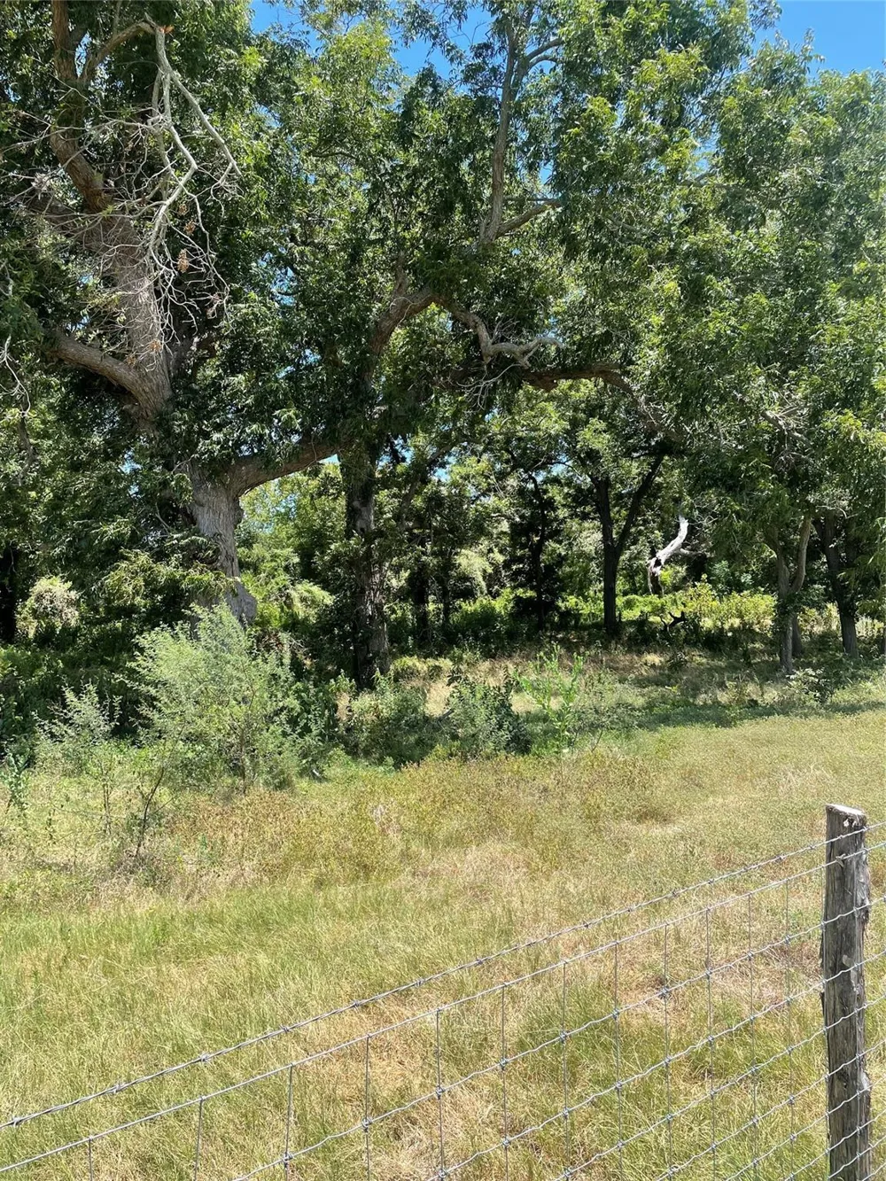 Preston/Robson Columbus, TX 78934