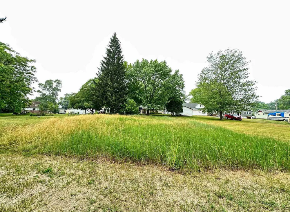 Bostwick Street Alma, MI 48801