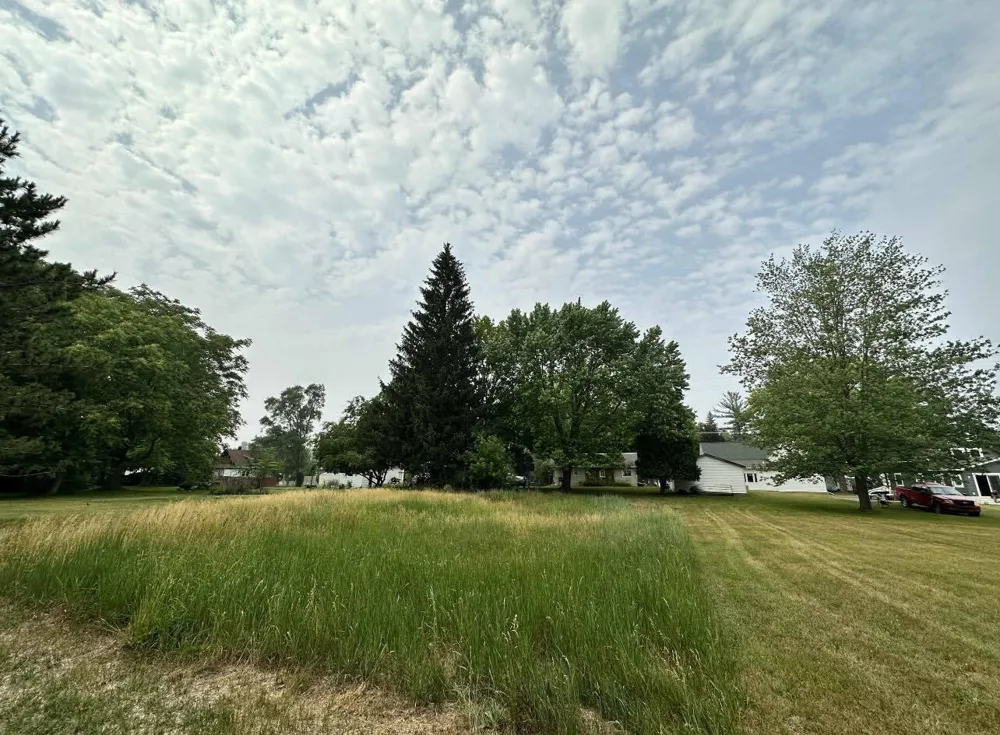 Bostwick Street Alma, MI 48801