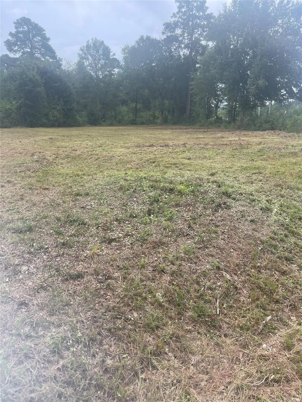 N Cripple Creek Drive Magnolia, TX 77354