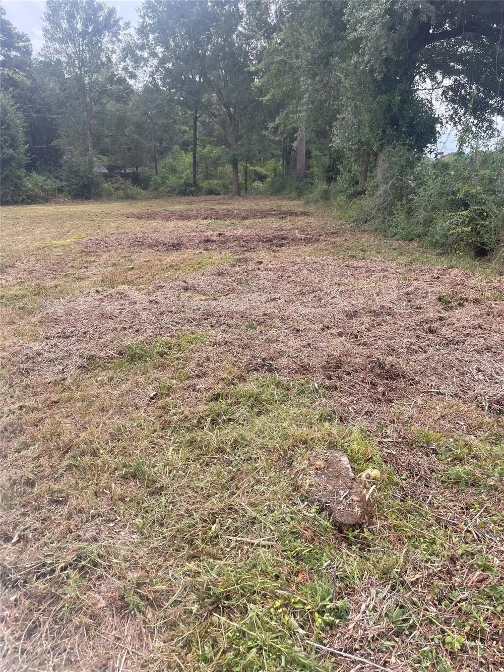 N Cripple Creek Drive Magnolia, TX 77354