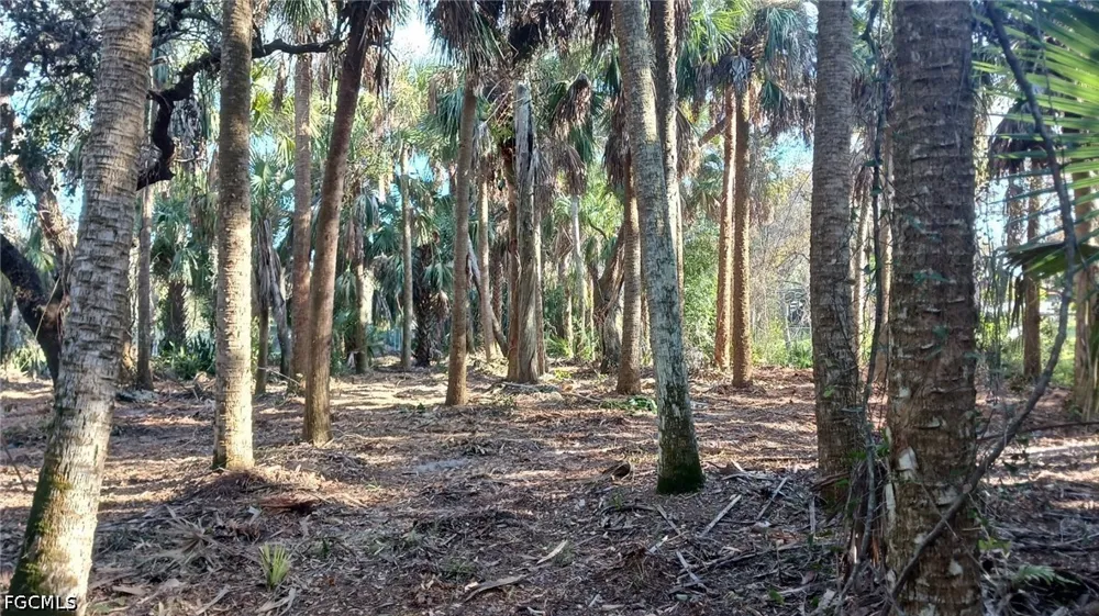 Daughtreys Creek North Fort Myers, FL 33917