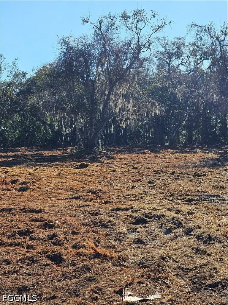 Daughtreys Creek North Fort Myers, FL 33917