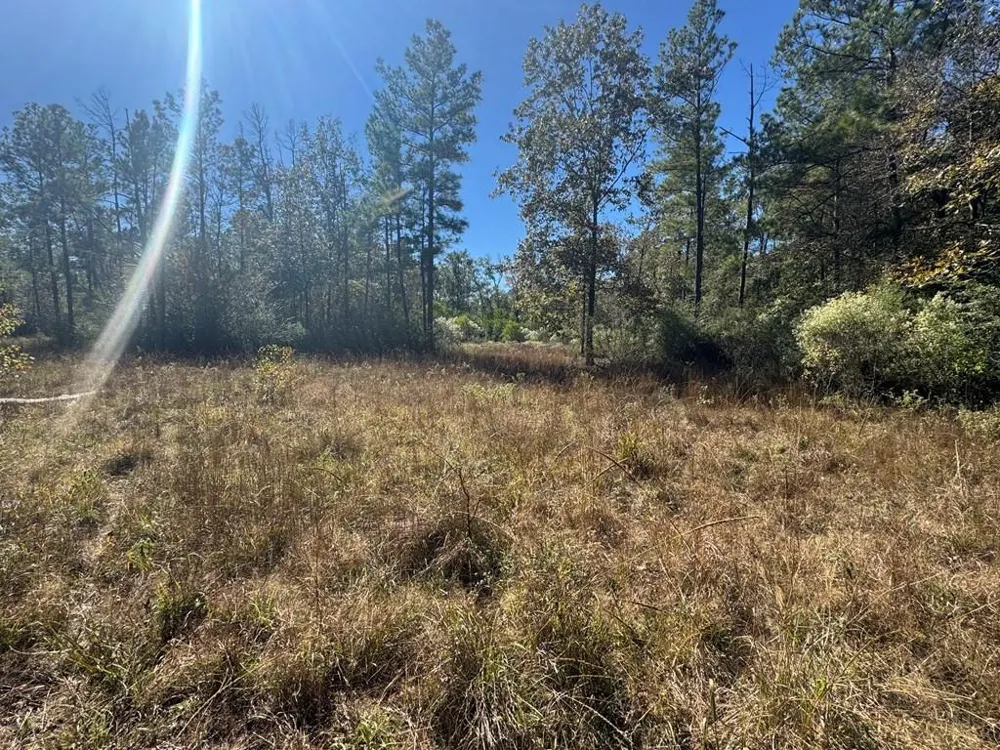 690 Jim Fenley Loop Lufkin, TX 75901