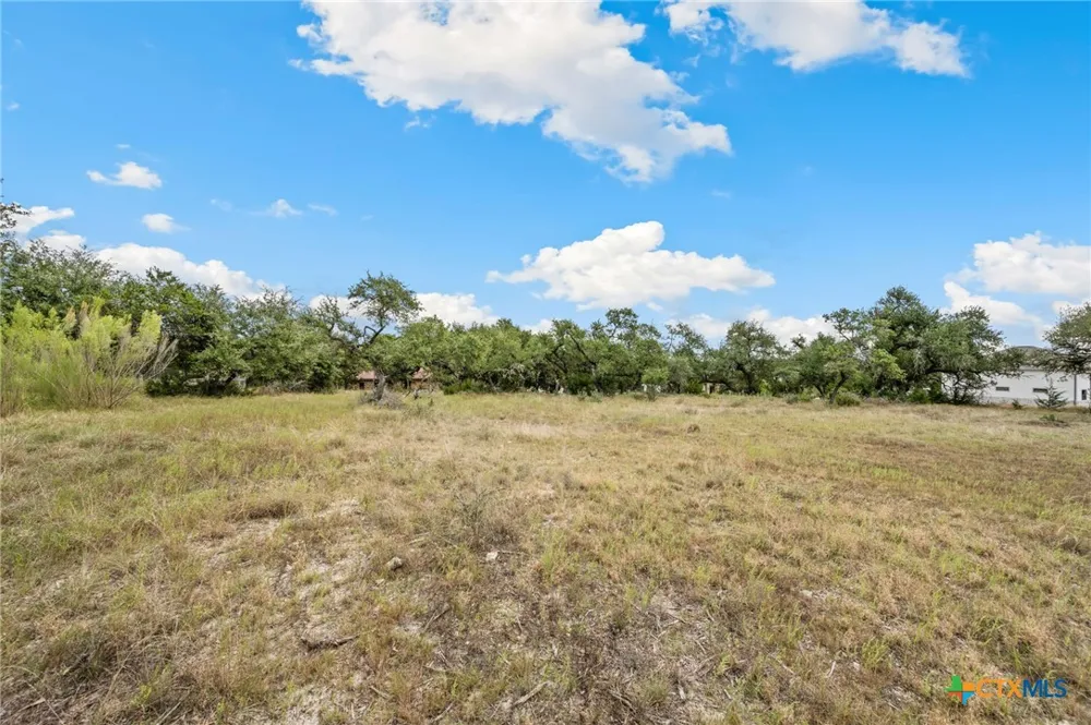 1230 Alsace New Braunfels, TX 78132