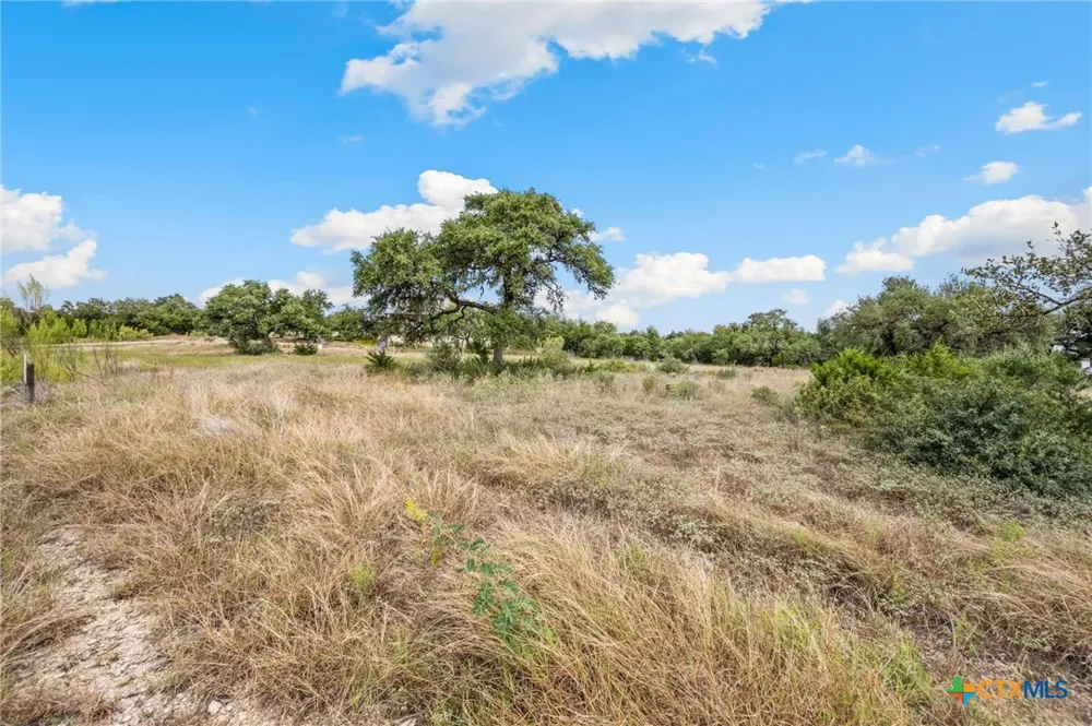 1230 Alsace New Braunfels, TX 78132