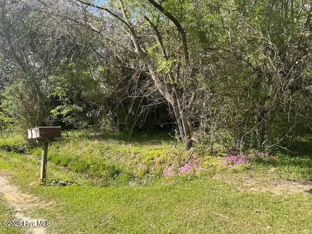 408 Mill Quarters Road Hallsboro, NC 28442