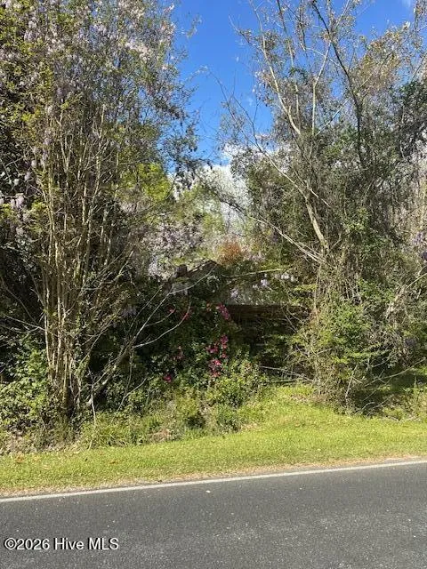 408 Mill Quarters Road Hallsboro, NC 28442