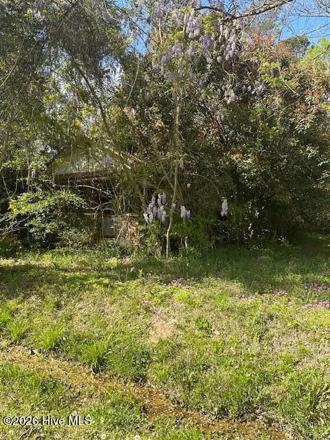 408 Mill Quarters Road Hallsboro, NC 28442