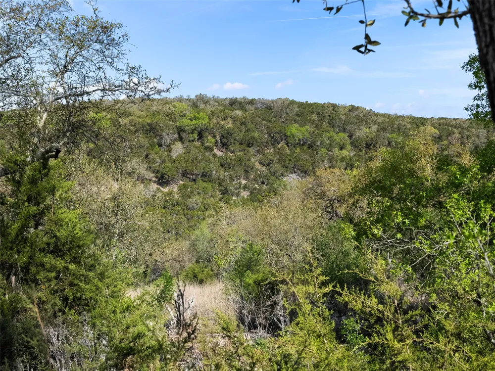 Address Not Shown New Braunfels, TX 78132