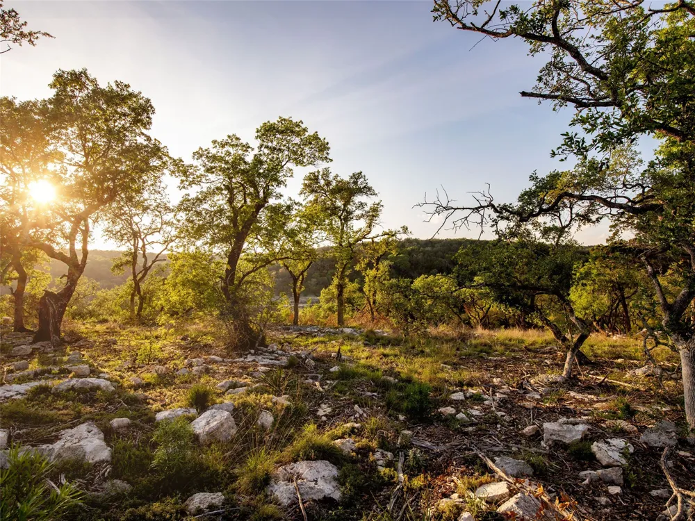Address Not Shown New Braunfels, TX 78132