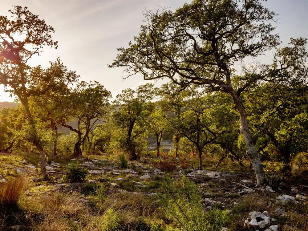 Address Not Shown New Braunfels, TX 78132