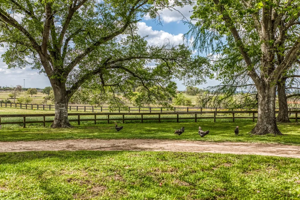 1289 Bluebonnet Ridge Drive Chappell Hill, TX 77426