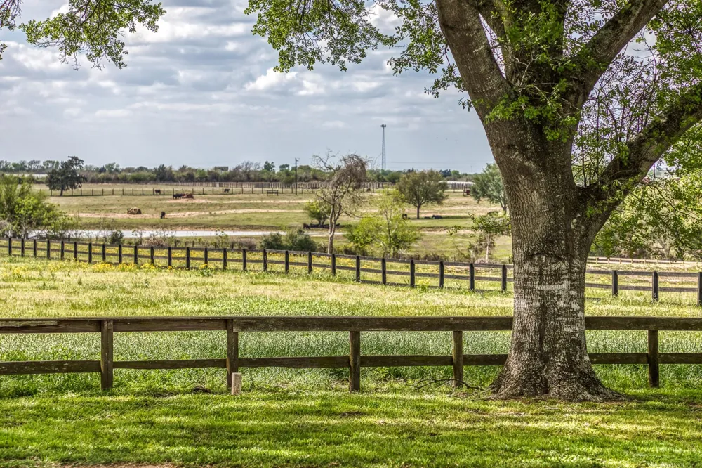 1289 Bluebonnet Ridge Drive Chappell Hill, TX 77426