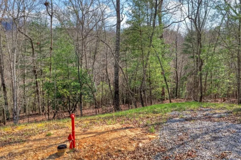 LT 13 Rocky Ridge Mineral Bluff, GA 30559