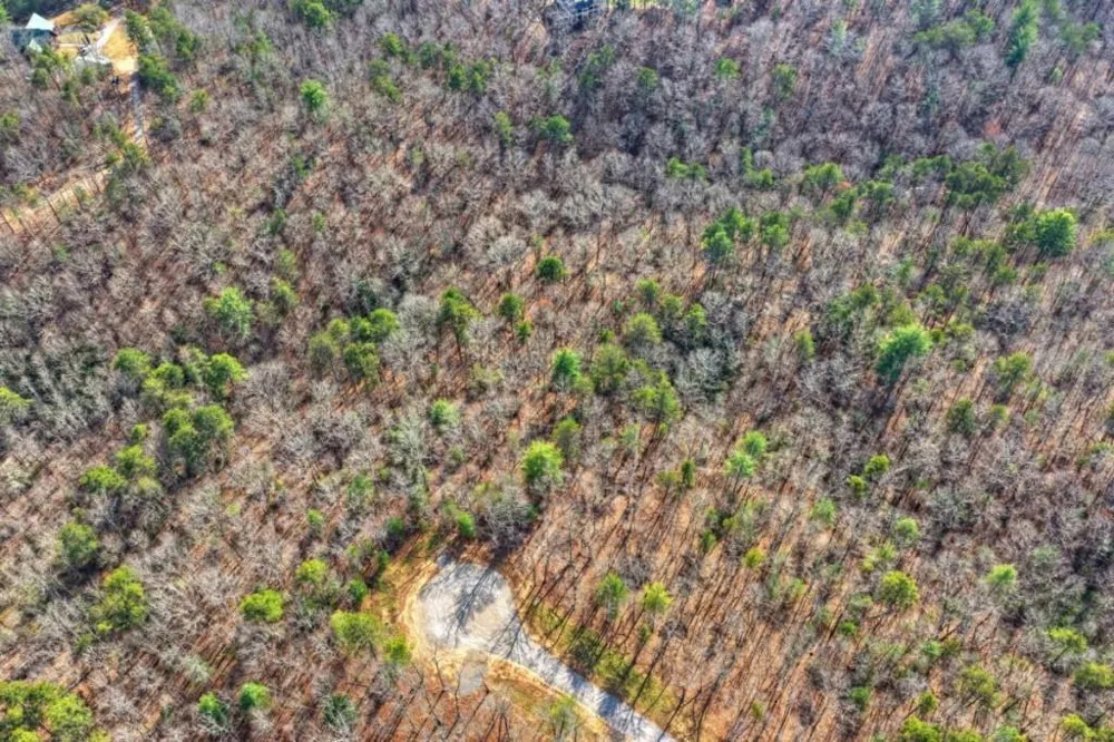 LT 13 Rocky Ridge Mineral Bluff, GA 30559
