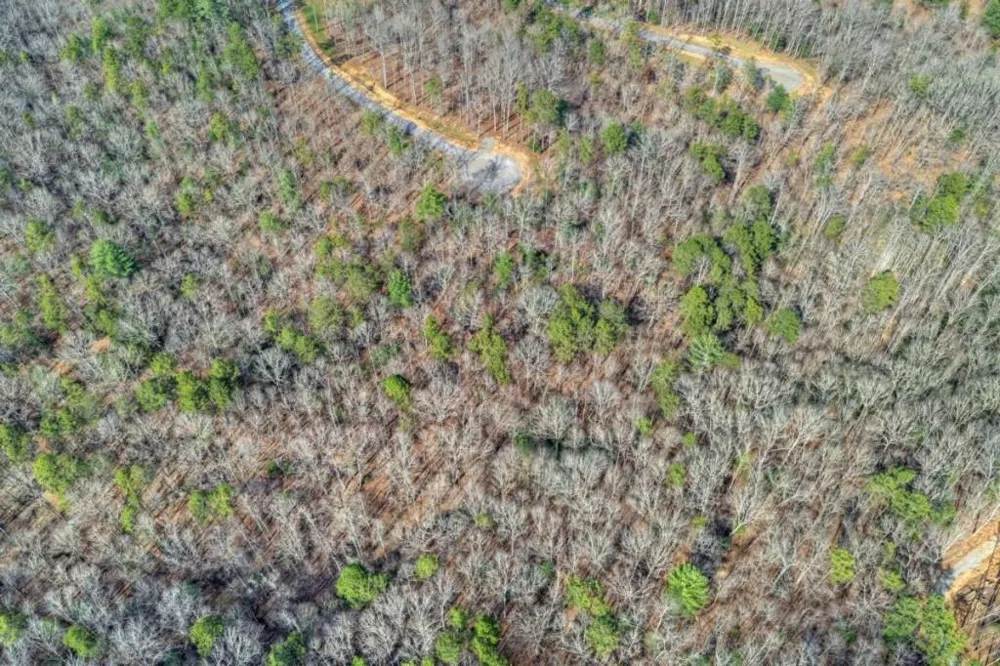 LT 13 Rocky Ridge Mineral Bluff, GA 30559