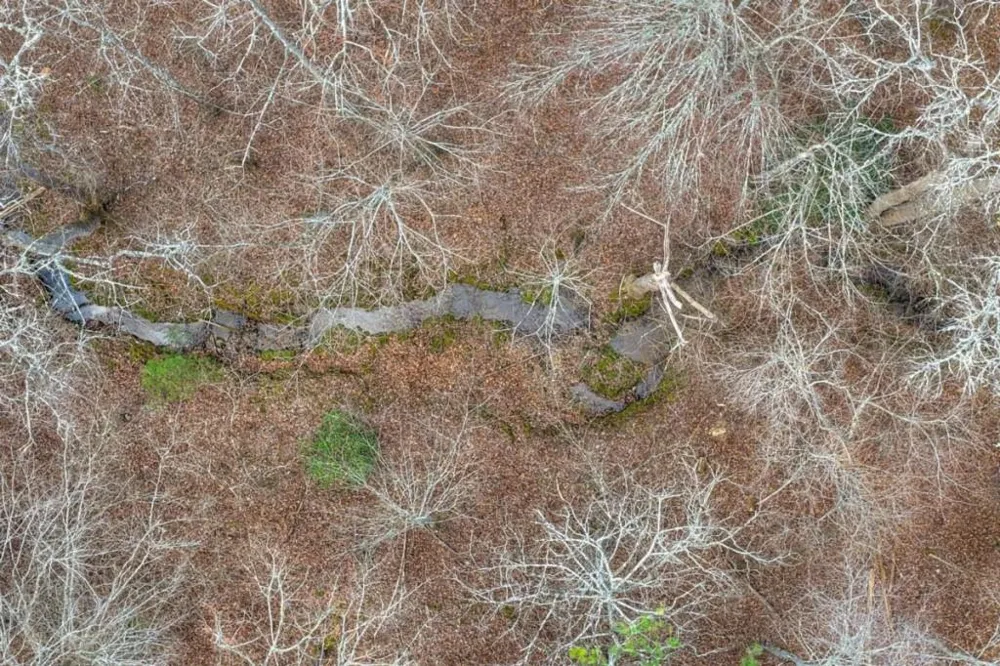LT 13 Rocky Ridge Mineral Bluff, GA 30559