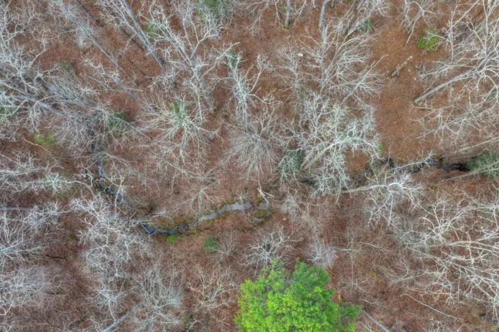 LT 13 Rocky Ridge Mineral Bluff, GA 30559