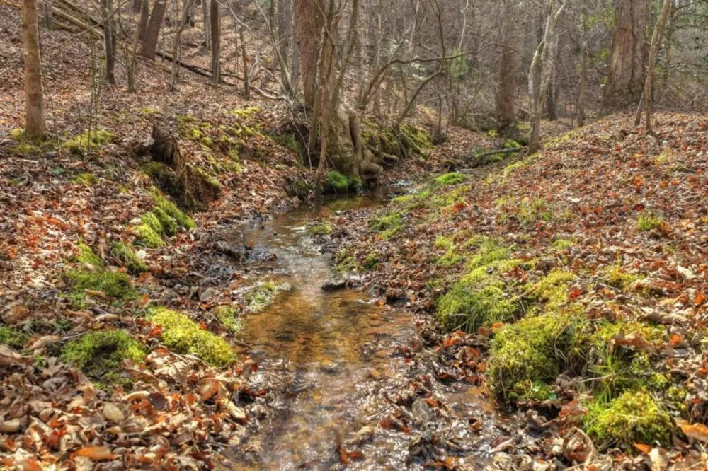 LT 13 Rocky Ridge Mineral Bluff, GA 30559