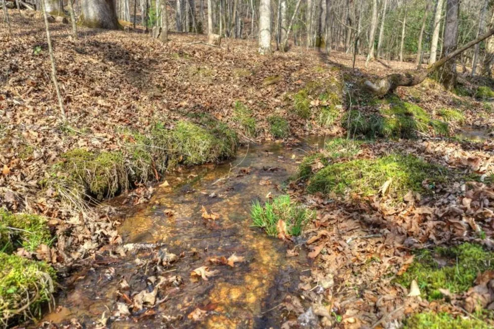 LT 13 Rocky Ridge Mineral Bluff, GA 30559