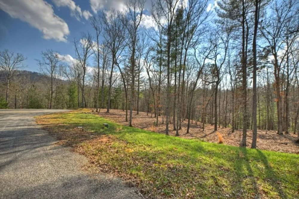 LT 13 Rocky Ridge Mineral Bluff, GA 30559