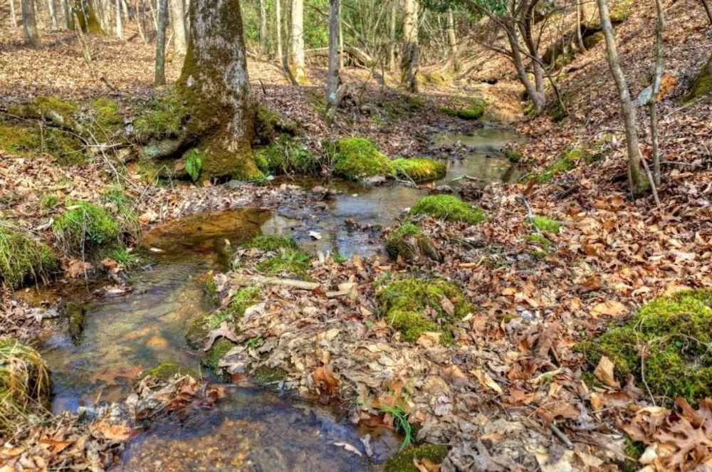 LT 13 Rocky Ridge Mineral Bluff, GA 30559