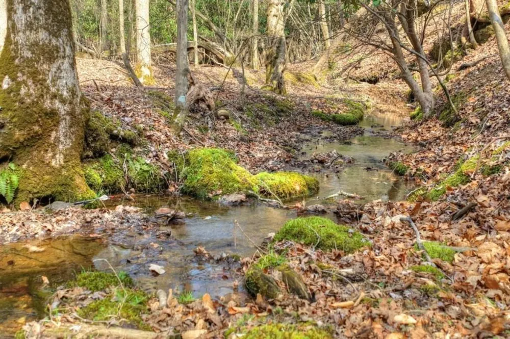 LT 13 Rocky Ridge Mineral Bluff, GA 30559