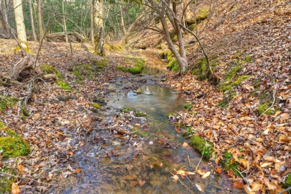 LT 13 Rocky Ridge Mineral Bluff, GA 30559
