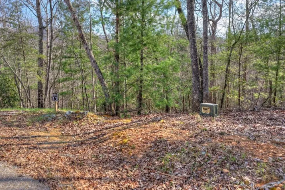 LT 13 Rocky Ridge Mineral Bluff, GA 30559