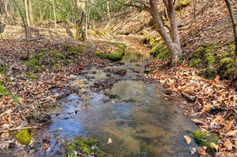 LT 13 Rocky Ridge Mineral Bluff, GA 30559