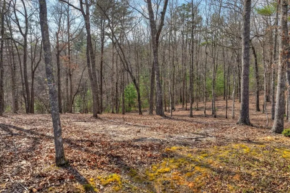 LT 13 Rocky Ridge Mineral Bluff, GA 30559