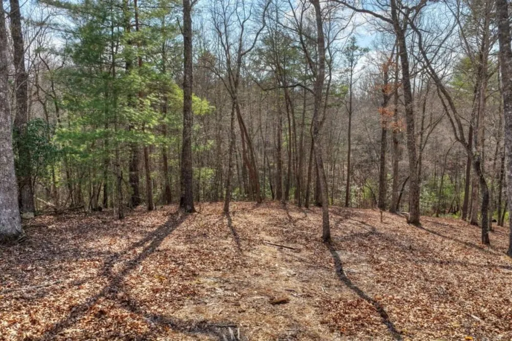 LT 13 Rocky Ridge Mineral Bluff, GA 30559