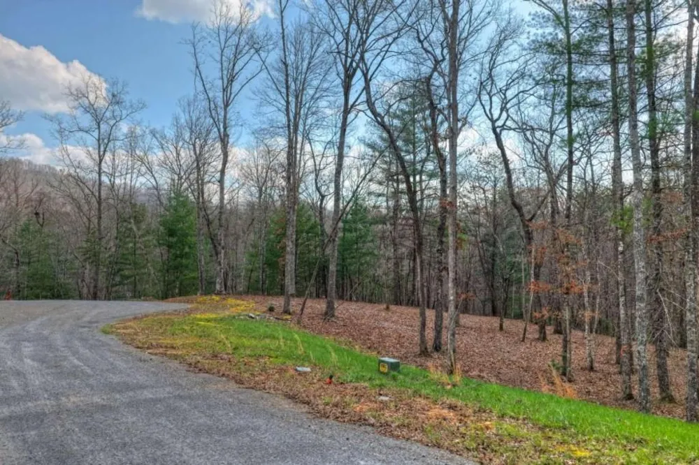 LT 13 Rocky Ridge Mineral Bluff, GA 30559