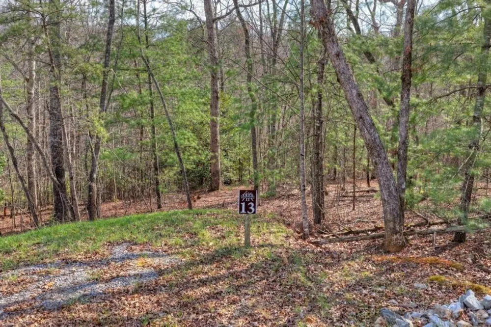 LT 13 Rocky Ridge Mineral Bluff, GA 30559