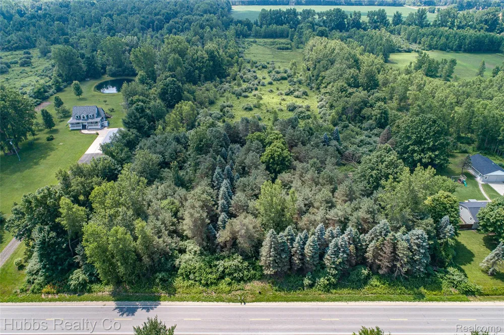 9361 Birch Run Rd Arbela Township, MI 48746