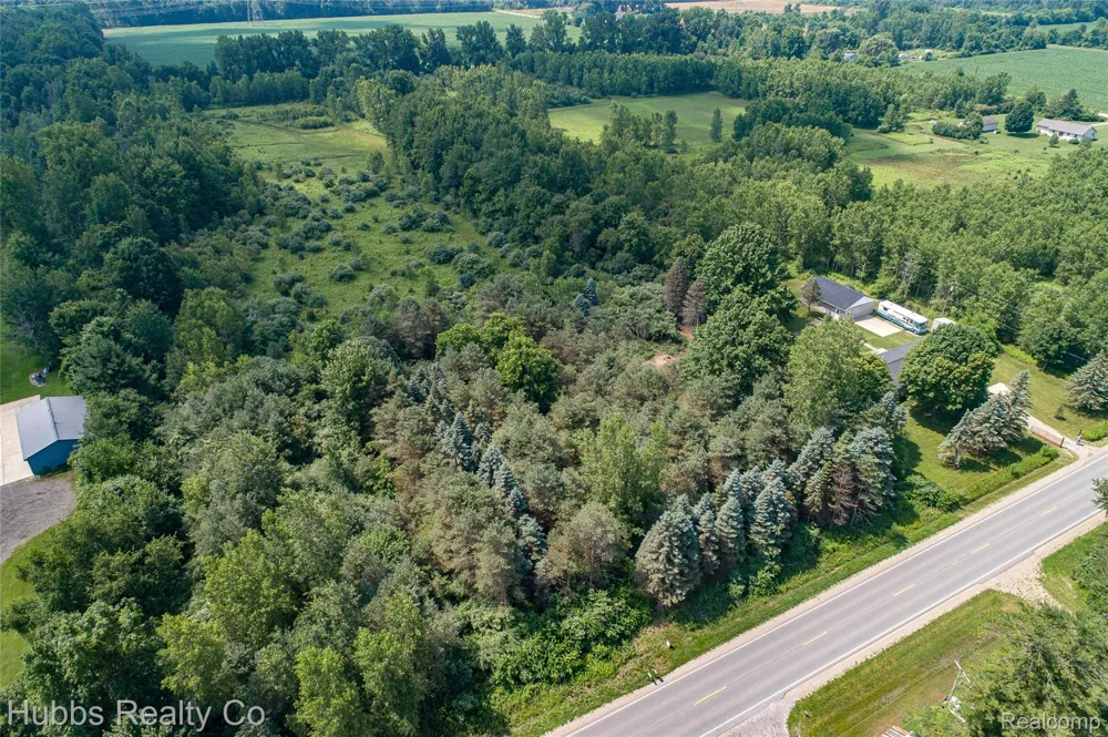 9361 Birch Run Rd Arbela Township, MI 48746