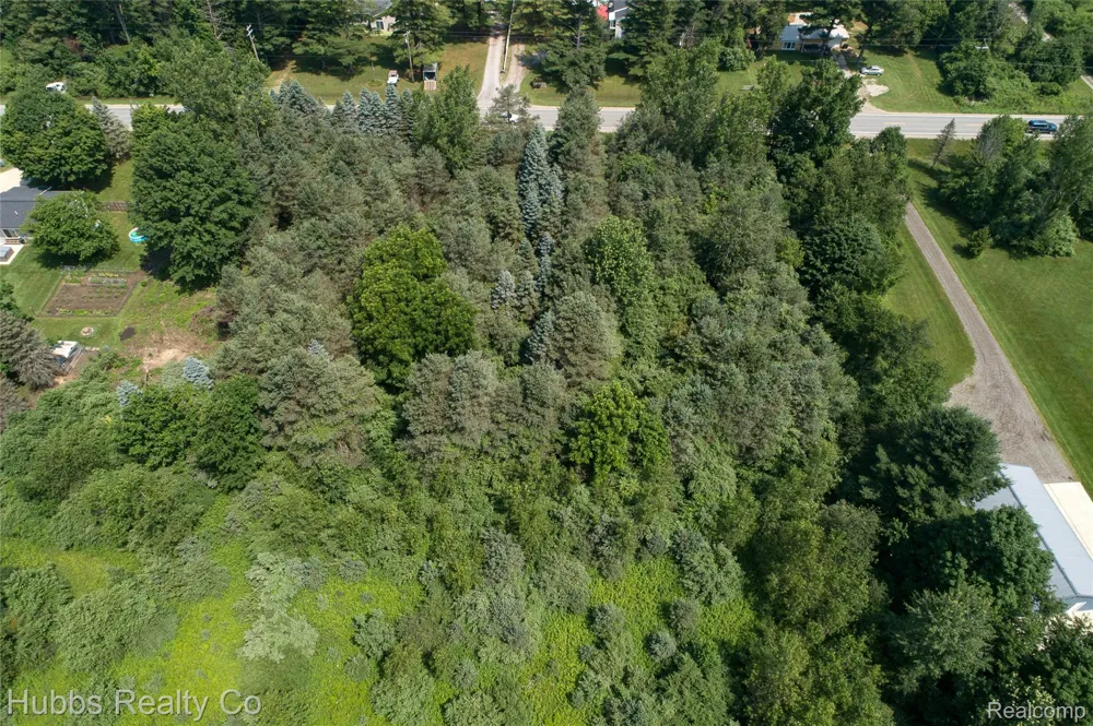 9361 Birch Run Rd Arbela Township, MI 48746