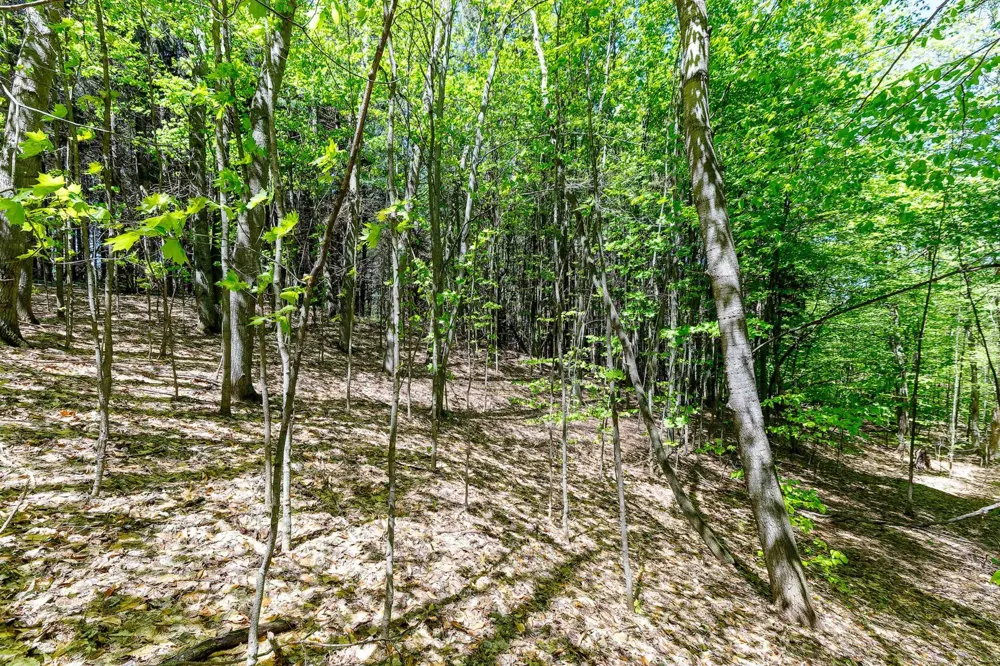 3219 Nugent Road Blaine Township, MI 49635