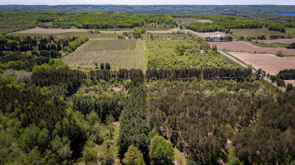 3219 Nugent Road Blaine Township, MI 49635