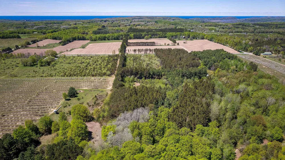 3219 Nugent Road Blaine Township, MI 49635
