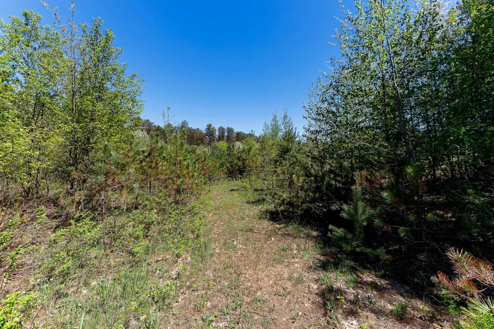3219 Nugent Road Blaine Township, MI 49635