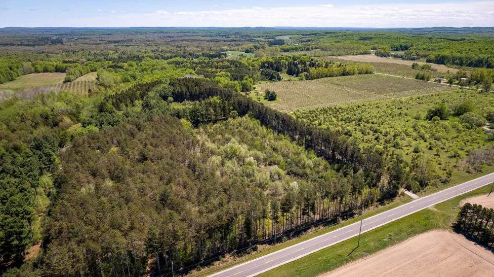 3219 Nugent Road Blaine Township, MI 49635