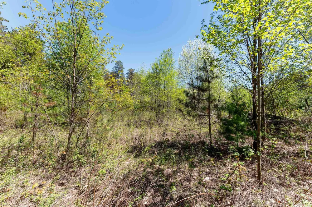 3219 Nugent Road Blaine Township, MI 49635