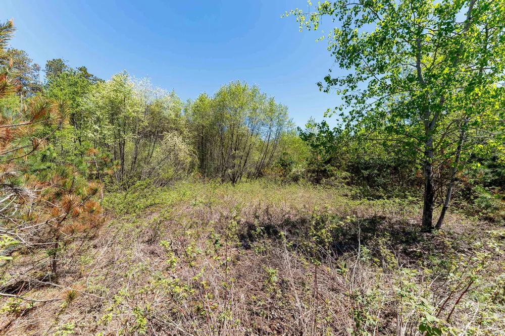 3219 Nugent Road Blaine Township, MI 49635