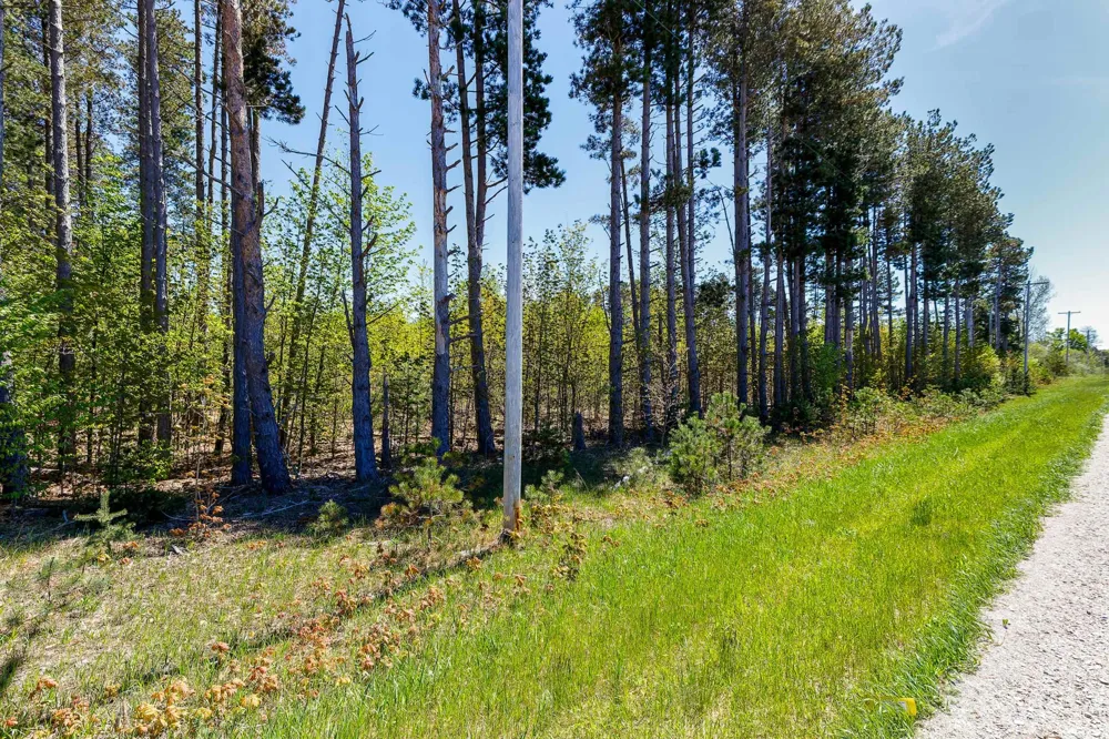 3219 Nugent Road Blaine Township, MI 49635