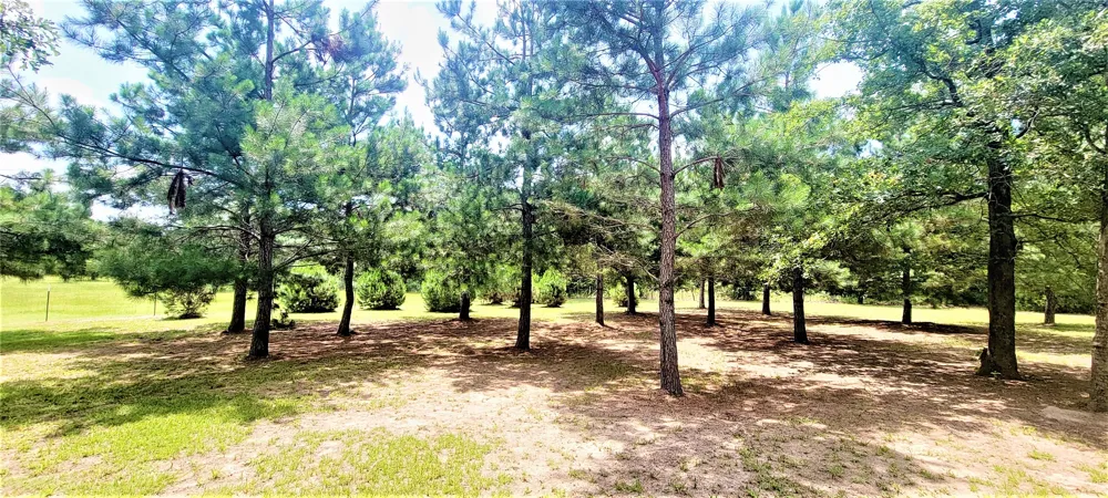 3321 County Road 457 Thorndale, TX 76577