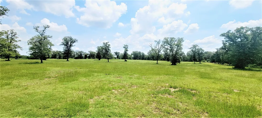 3321 County Road 457 Thorndale, TX 76577